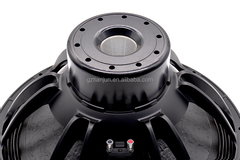Sistem Audio Profesional 21''  - Speakers ulasan dan harga