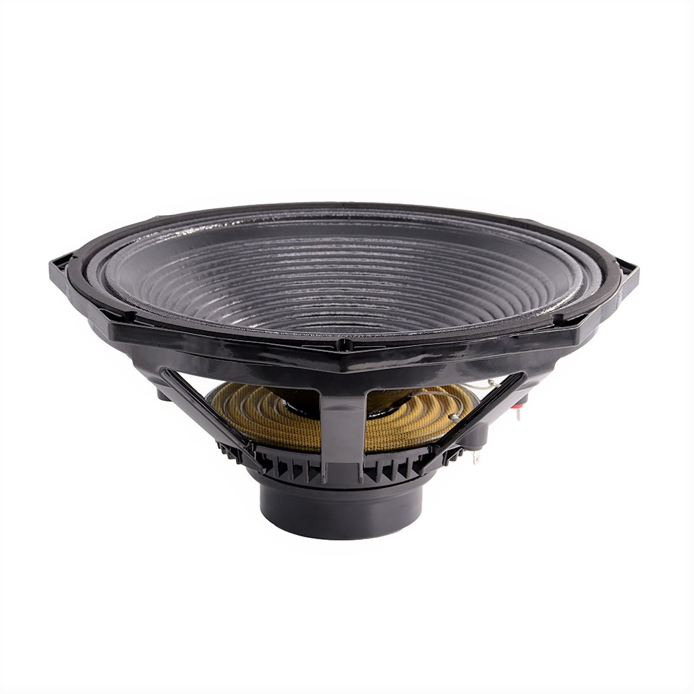 Audio Profesional 600W Woofer  - Speakers ulasan dan harga